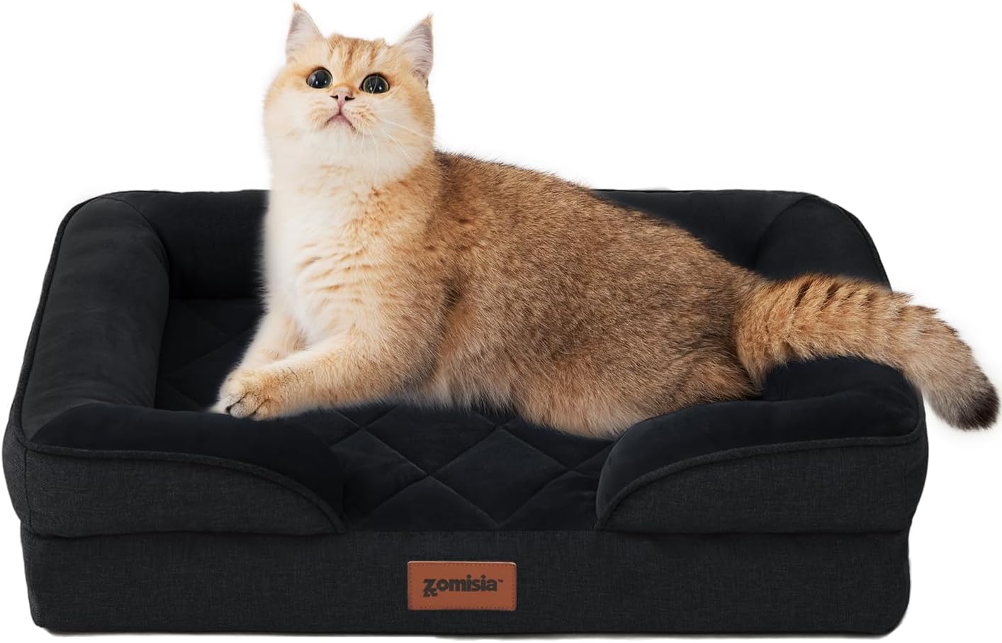 Orthopedic Dog Bed for Small Dogs, Washable Dog Beds with Bolsters, Memory Foam Pet Sofa with Removable Waterproof Cover & Nonskid Bottom, Black