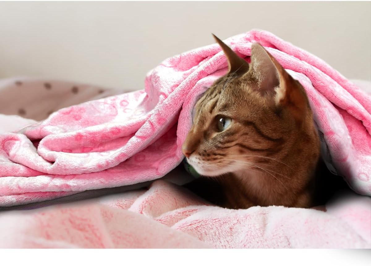 Dog Blankets for Medium Large Dogs Washable, 3 Pack Pet Blanket Washable 41" x 31", Fuzzy Soft Puppy Throw Cover for Kennel Crate Bed