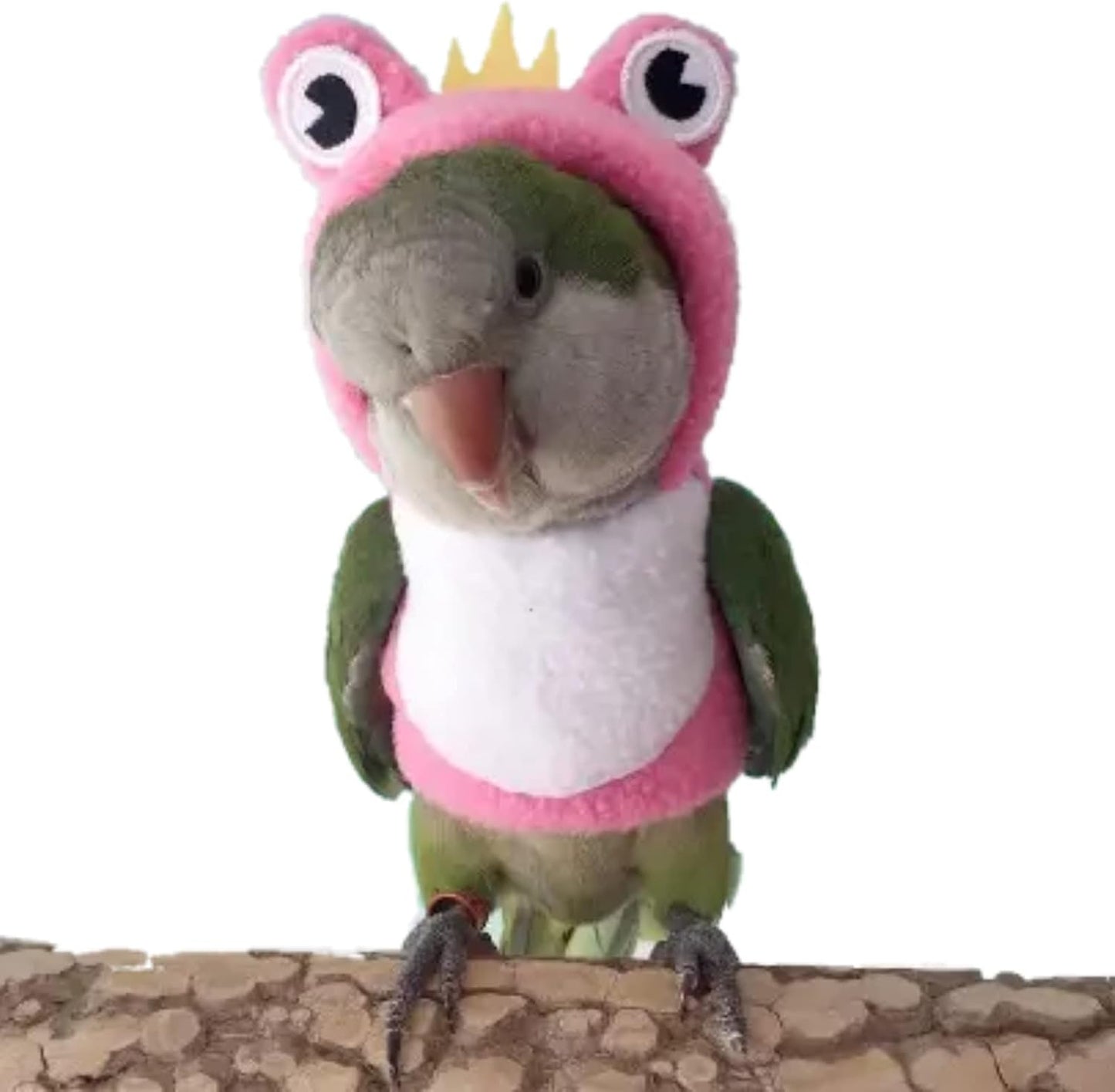 Bird Costume Diaper Flight Suit Frog Shape Hoodie Clothes Cosplay Photo Prop for Parrots Parakeet Cockatiel Sun Conure, Small Animals Apparel (Pink Without Diaper, Large), Green