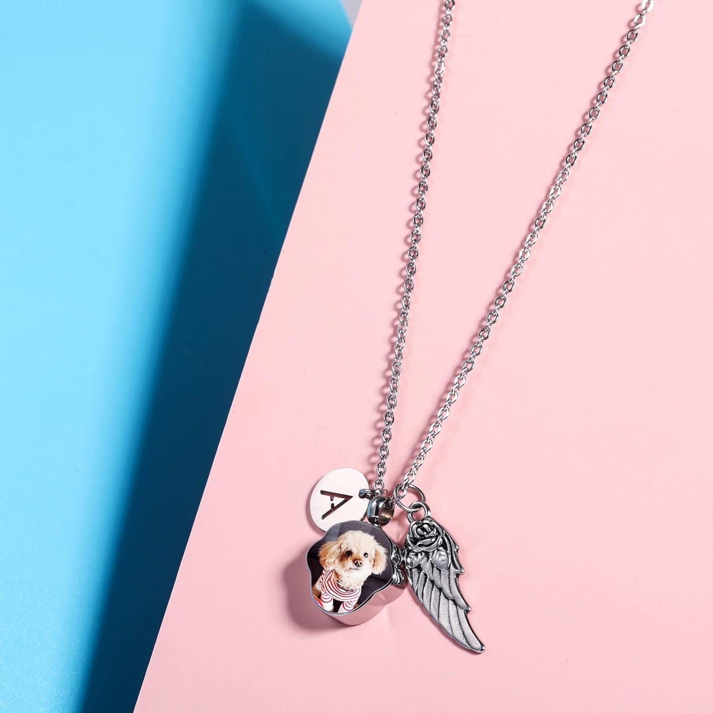 Personalized Urn Necklace for Pet Ashes Custom Photo/Name/Date Paw Print Pendant for Women Men Cremation Jewelry Memorial Keepsake for Dog/Cat/Pet Urn Necklace with Funnel Fill Kit