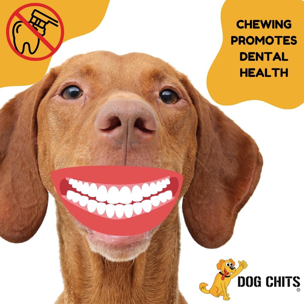 Dog Chits Curly Bully Sticks for Dogs and Puppies | 12-inch | All Natural, Treats | Long Lasting Chew | Promotes Dental Health | Keeps Pups Busy | Grass Fed Beef | 3 Pack