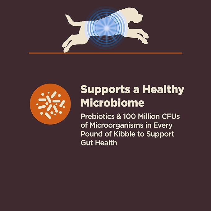 Wellness CORE Digestive Health Dry Dog Food, Large Breed, Wholesome Grains, Natural, Recipe for Dogs with Sensitive Stomachs, Chicken, (24-Pound Bag)