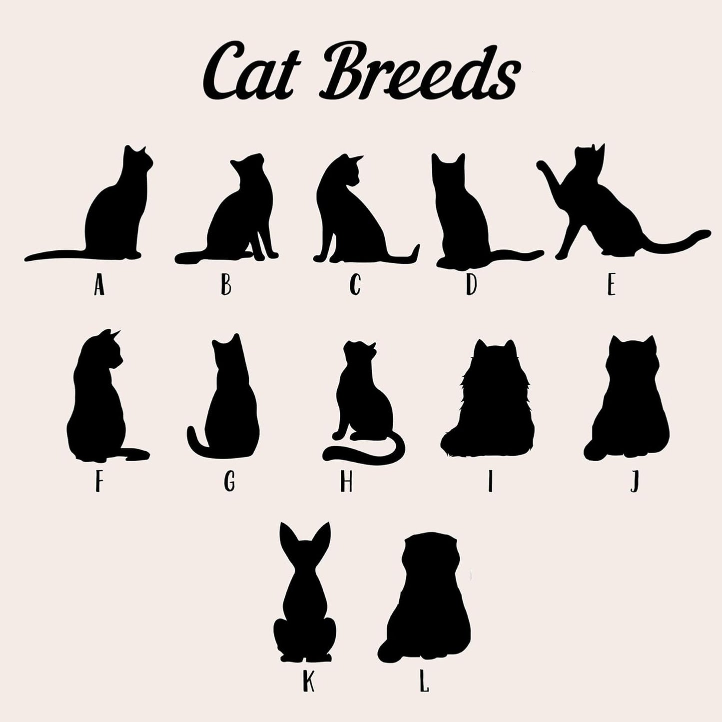 Personalized Cat Memorial Gift – Rainbow Bridge Suncatcher, Cat Loss Sympathy Gift, Pet Remembrance Keepsake, Gift for Cat Lovers