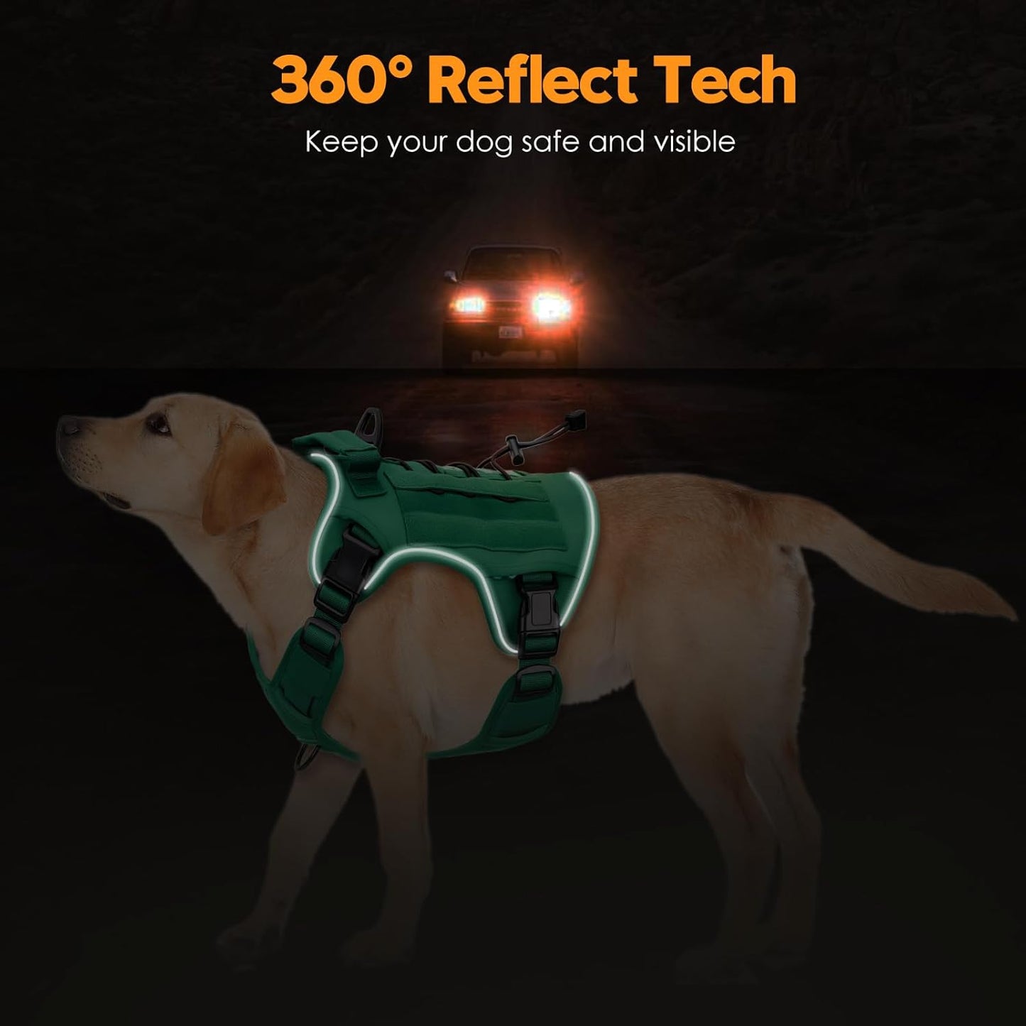 Heavy-Duty Tactical Dog Harness for Large Dogs, No Pull Adjustable Reflective Pet Vest with Molle System, K9 Military-Grade Control for Service Training, Outdoor & 10+ Breeds, Turquoise, Large