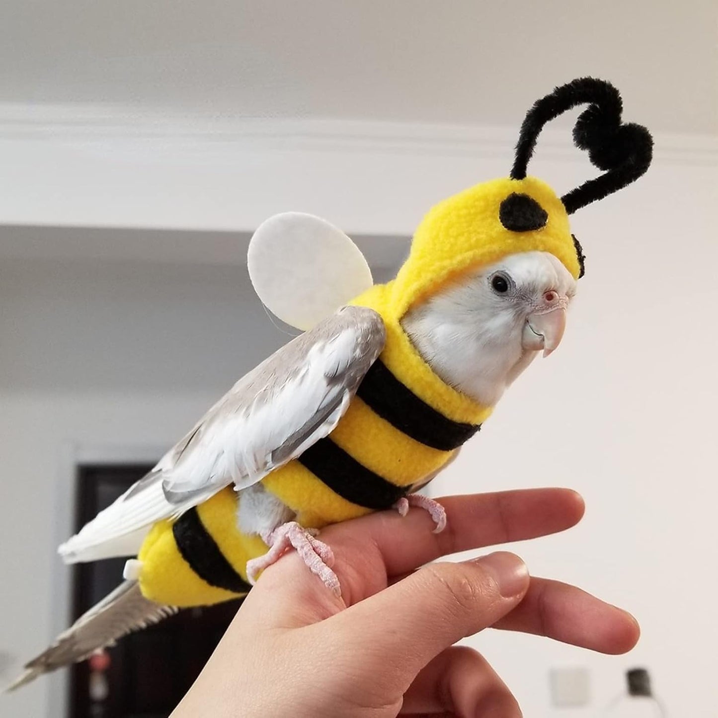 Bird Costume Diaper Flight Suit Bee Shape Hoodie Clothes Cosplay Photo Prop for Parrots Parakeet Cockatiel Sun Conure, Small Animals Apparel (Bee with Diaper, Medium), Green (BPF1)