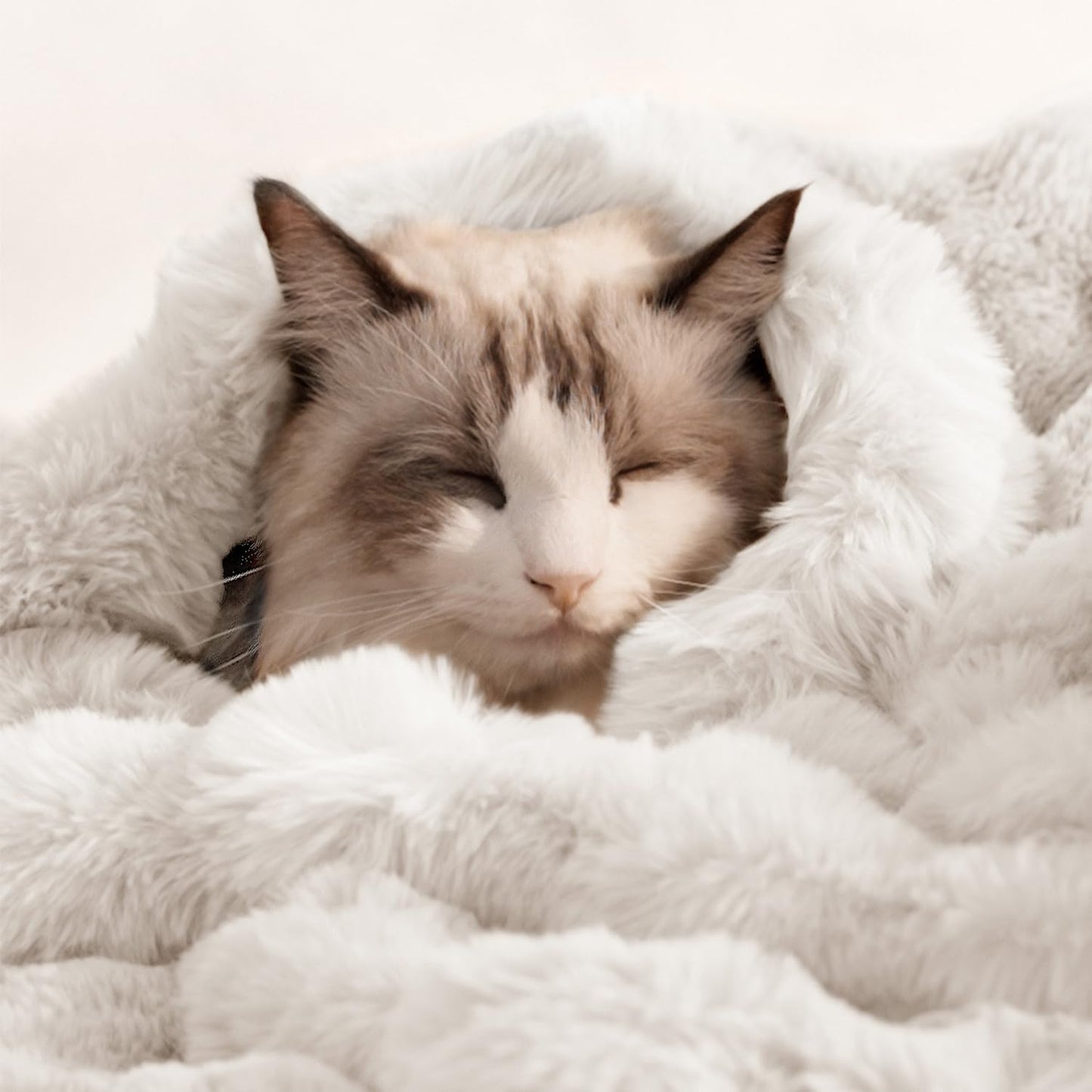 Dog Blanket Ultra Soft Fuzzy Faux Fur Cat Blankets for Indoor Cats Ultra Soft Plush Faux Fur Machine Washable Reversible Pet Throw Protector for Couch Furniture 39"X 30" White