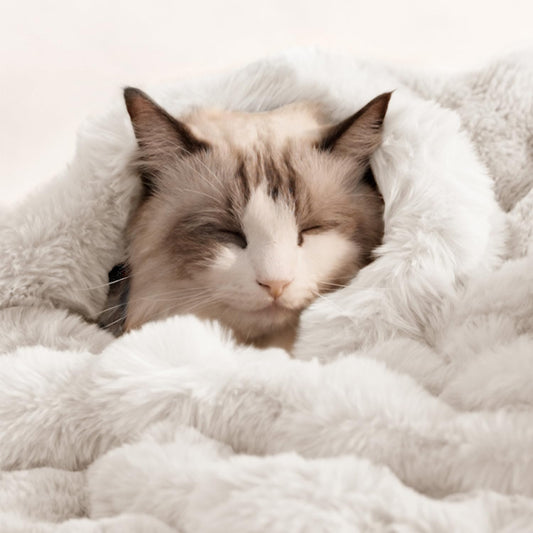 Dog Blanket Ultra Soft Fuzzy Faux Fur Cat Blankets for Indoor Cats Ultra Soft Plush Faux Fur Machine Washable Reversible Pet Throw Protector for Couch Furniture 39"X 30" White