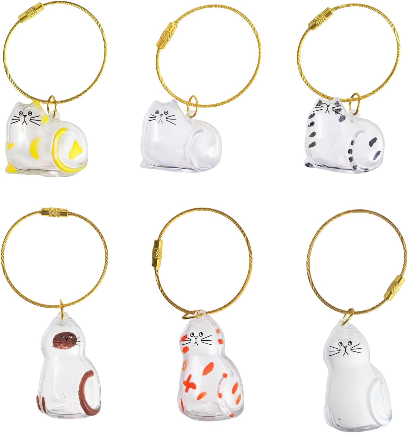 6 Pack Cat Hair Memorial Pendant, Cat Fur Keepsake Capsule Keychain, Clear Acrylic Pet Hair Collection Birhthday Christmas Gift