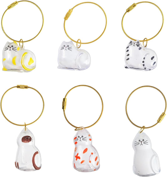 6 Pack Cat Hair Memorial Pendant, Cat Fur Keepsake Capsule Keychain, Clear Acrylic Pet Hair Collection Birhthday Christmas Gift