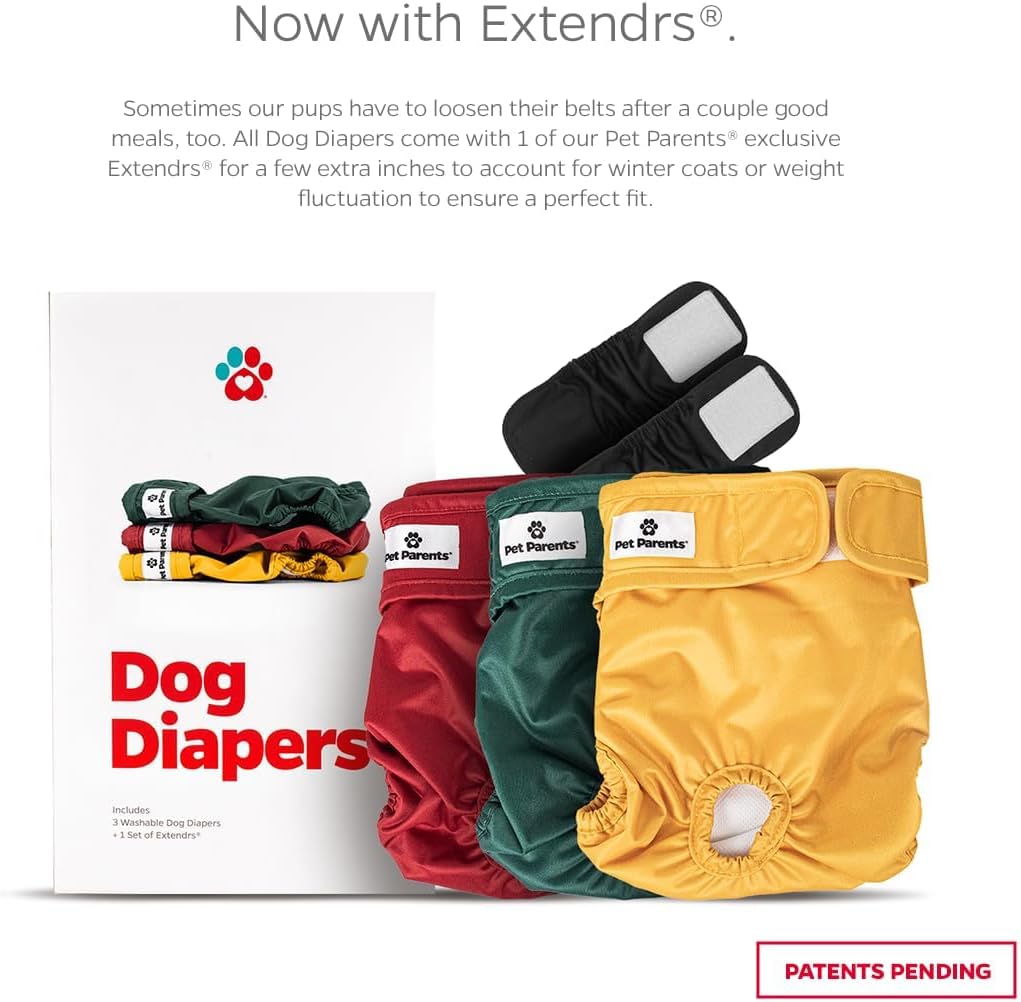 Pet Parents® Washable Dog Diapers (3pack) + Extendrs® of Durable Doggie Diapers, Premium Dog Diapers Female (X-Large, Samba)