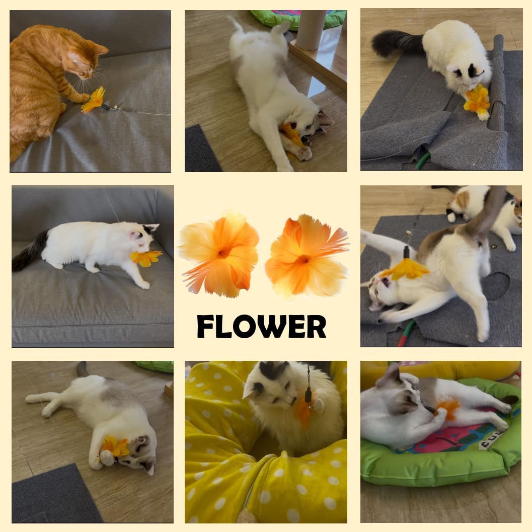 Cat Feather Toys Replacement - 2 Pcs Handmade Natural Flowers - Cat Toy Wand Refills - Interactive Kitten Teaser Wand Attachments - Cat Toys for Indoor Cats Play