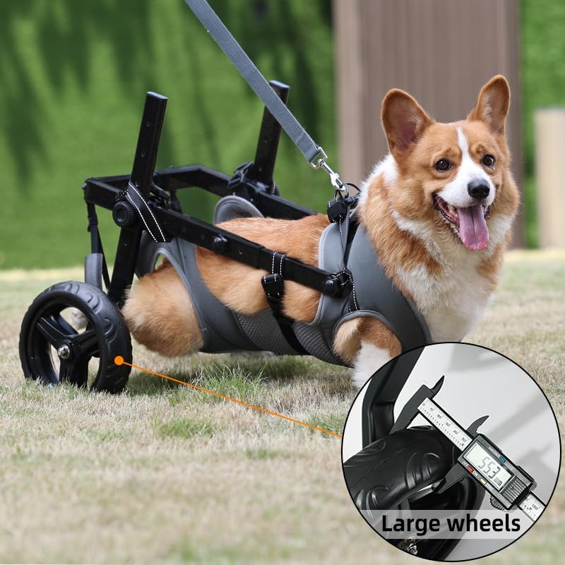 Large Dog Wheelchair for Back Legs with Pet Traction Rope - Adjustable Hind Leg Support Cart with Breathable Air Mesh Harness, All-Terrain Wheels & Foldable Frame - Mobility Aid for Disabled/Injured