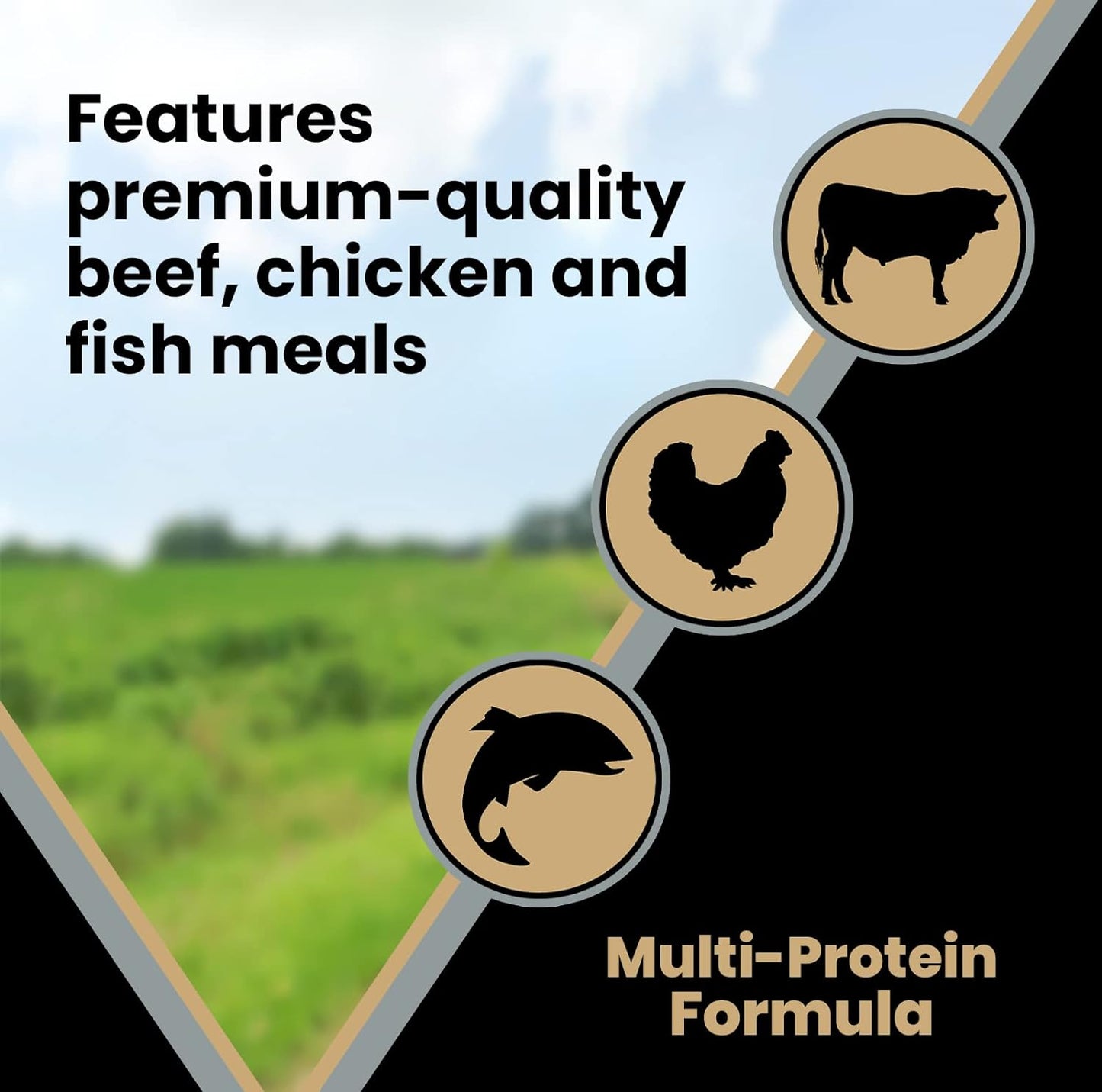 VICTOR Super Premium Dog Food – Purpose – Senior Healthy Weight Management – Dry Dog Food for Adult Dogs – Gluten Free with Glucosamine and Chondroitin, for Hip and Joint Health, 15lbs