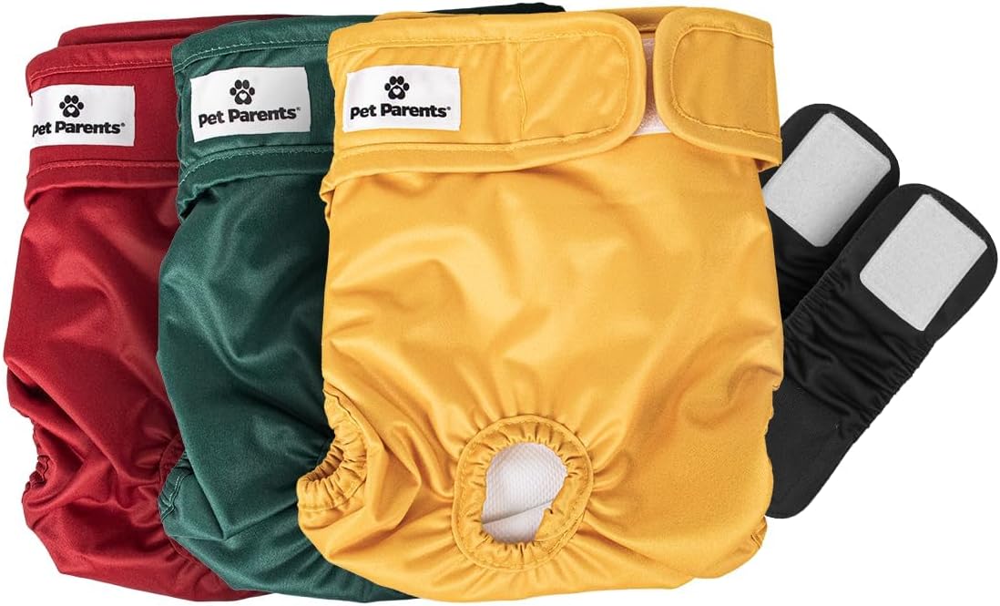 Pet Parents® Washable Dog Diapers (3pack) + Extendrs® of Durable Doggie Diapers, Premium Dog Diapers Female (X-Small, Samba)