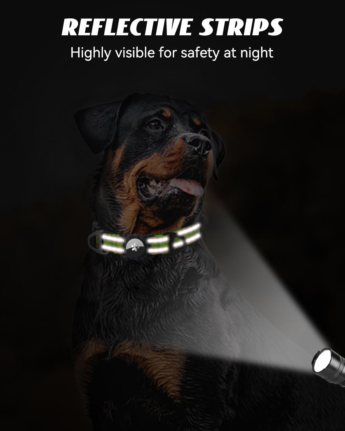 Joytale Airtag Dog Collar, Reflective Pet Collar with Waterproof AirTag Holder, Dual D-Rings, Soft Padded Adjustable for Large Dogs, Green, L