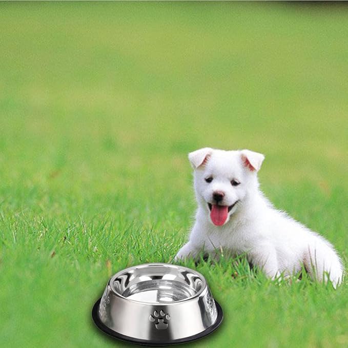 YUDANSI 2 Stainless Steel Dog Bowls, Puppy Kitten Feeding Bowls, Shallow Cat Dish with Rubber Base, Mini and Small Pet Feeder Food Water Plate (S-11oz)
