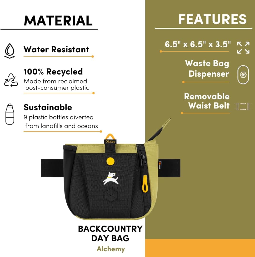 OllyDog Backcountry Day Bag | Hands-Free Dog Training Treat Pouch | Fanny/Hip Pack with Zipper Closure & Built-in Poop Bag Dispenser | Removable Waist Clip (Alchemy)