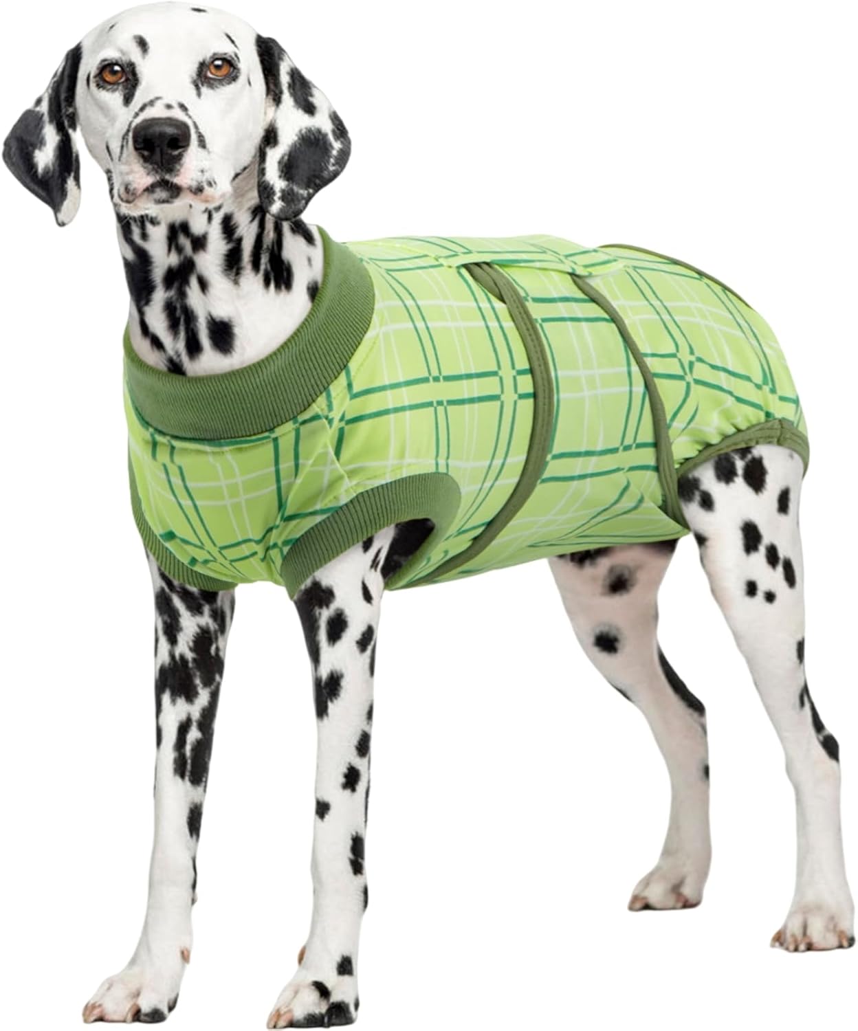 Kuoser Dog Recovery Suit for Female Male Dogs, Post-Surgery Bodysuit for Spay Neuter, Dog Onesie After Surgery, Anti-Licking Pet Surgical Recovery Suit, Green L