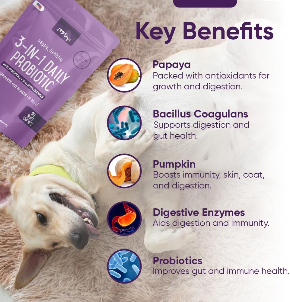 iHeartDogs 3-in-1 Probiotic for Dogs with Pumpkin for Improved Digestion & Gut Health - Dog Probiotics and Digestive Enzymes, 90 Count