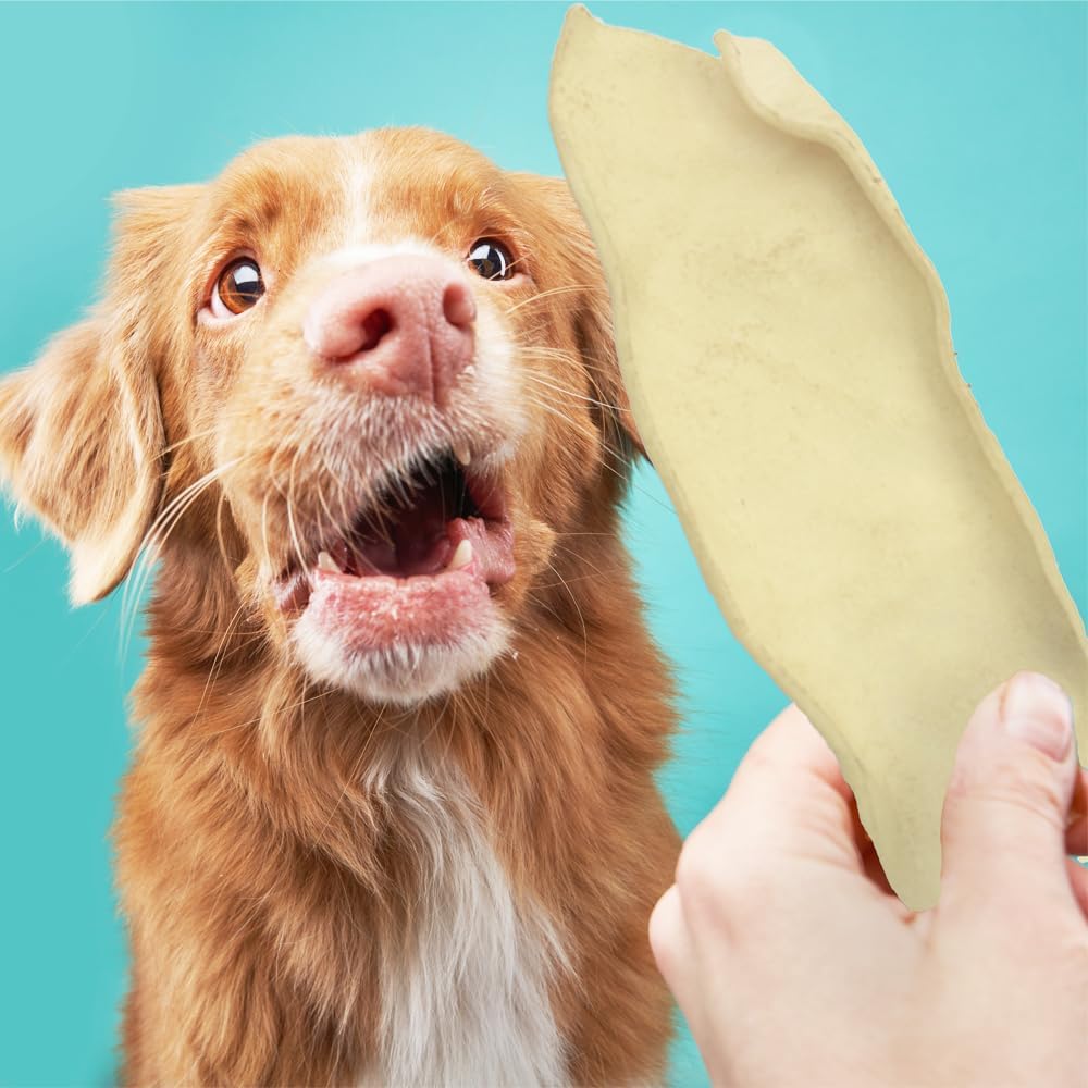 Oral Hygiene Chews for Large Dogs-Enzymatic Dental Treats for Daily Oral Care, Cleans Teeth and Freshens Breath, Reduces Plaque, Bacteria and Tartar Build Up Without Brushing-30 Chews