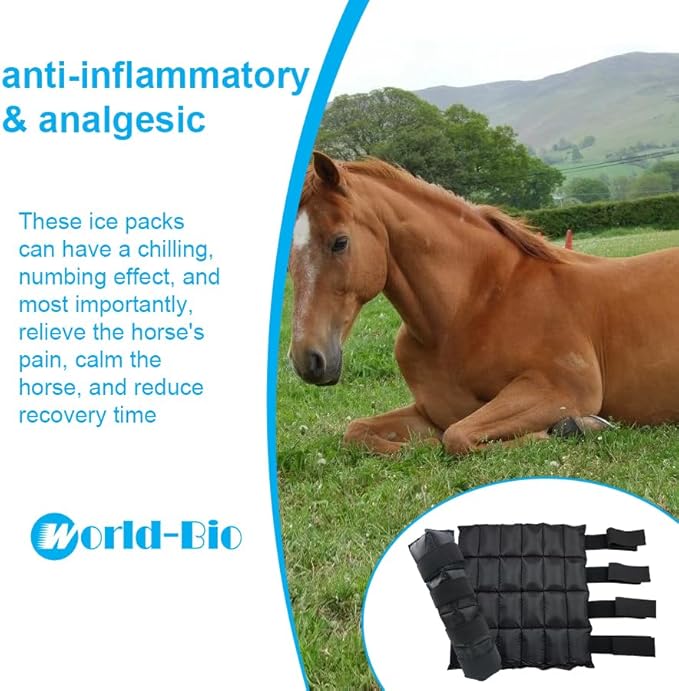 WORLD-BIO Horse Ice Boots (2pcs)/Horse Ice Pack for Injuries/Swelling, Horse Leg Ice Wraps with Flexible Straps for Horse Hock, Ankle, Knee, Legs&Horse Hooves,& Horse Gift Ideas for Horse Lovers-Black