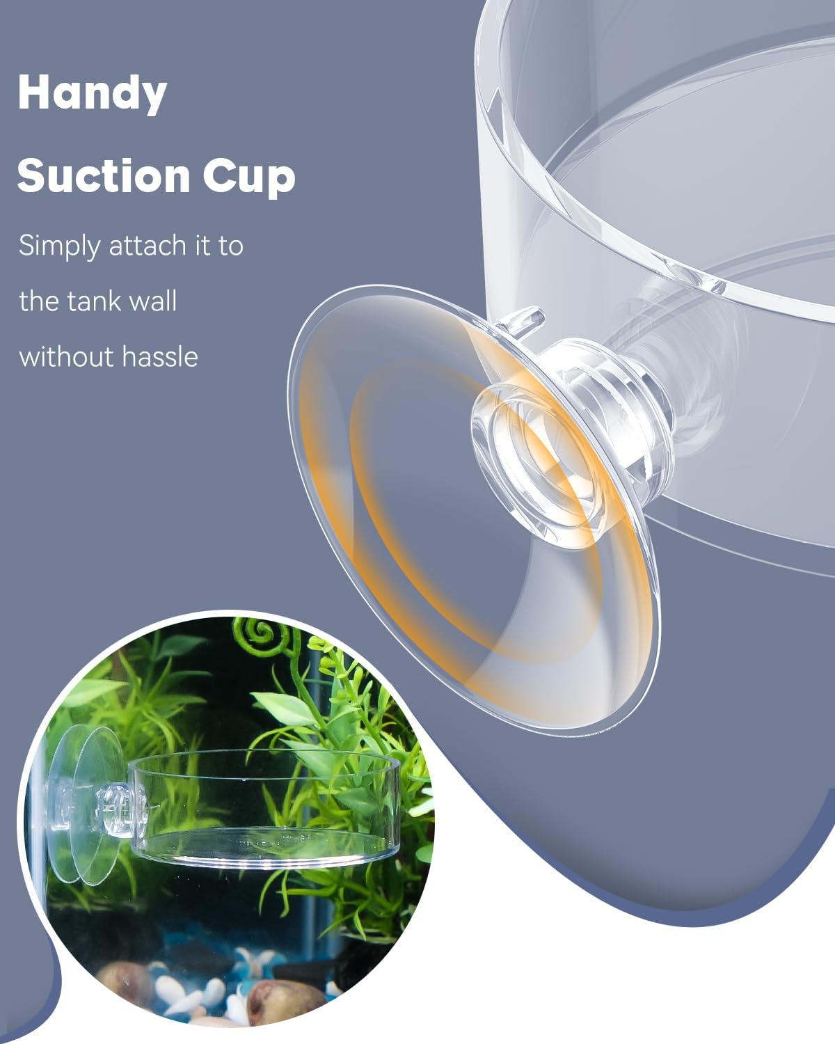 Pawfly Shrimp Feeding Dish with Suction Cup, Clear Acrylic Aquarium Shrimp Feeder Dish, Fish Feeding Tray for Freshwater and Saltwater Tanks