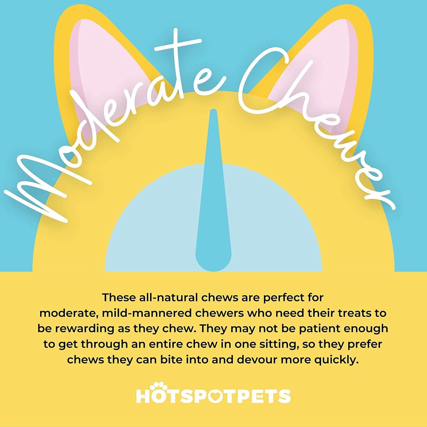 hotspot pets Beef Tendon Chews for Dogs -(10 Pack) 6 Inch All Natural, Free-Range, Grass-Fed Premium Backstrap Tendon Dog Chews Treats