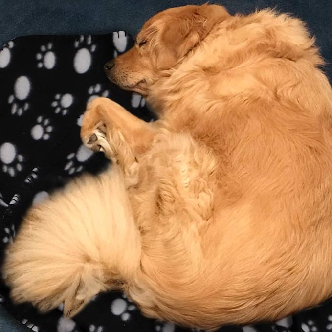 Comsmart Dog Blankets for Small Dogs, 6 Pack Puppy Blanket Cute Paw Print Pet Blanket for Dog, Puppy, Cat, Kitten, 39x35 inches, Black