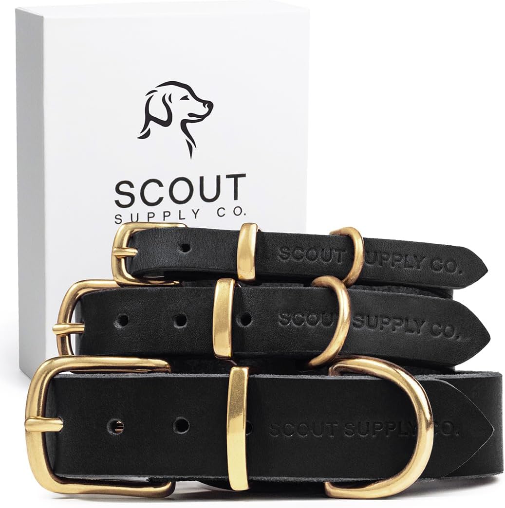 Classic Genuine Leather Dog Collar | Dog Collars for Medium Dogs, Small Dogs, Large Dogs & Extra Large Dog | Wide Dog Collar | Heavy Duty Dog Collar (Black, S: 0.5" Wide for 7.5"-10.5" Neck)