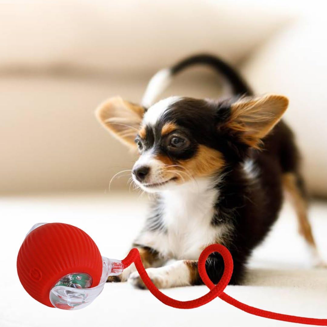 Dog/Cat Automatic Ball - Activated Automatic Moving Toy, Rechargeable, Self Play, Ball Toy with Long Tail Teaser