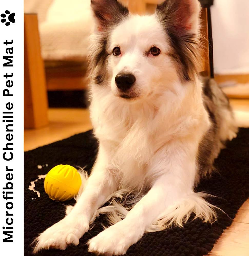 NJSBYL Bath Rugs Mats Black 26X36 Inches Shaggy Chenille Bathroom Doormats Machine Washable Dry Ultra Soft Water Absorbent