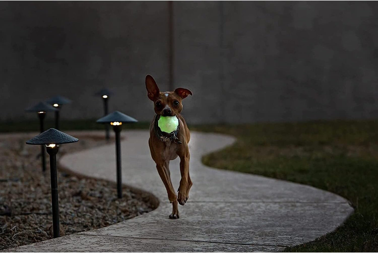 Jolly Pets Jolly Jumper, Large 4", Bouncing Dog Toy Ball; Glows in The Dark