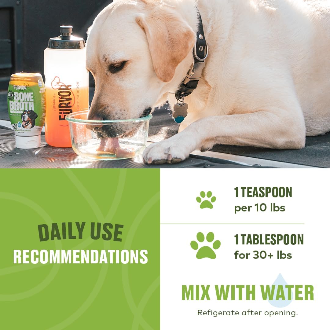 Beef Mobility Support Bone Broth Concentrate for Dogs - Collagen Protein Supplement - Boosted w/Amino Acids, Glucosamine, and Chondroitin - Dog Food Topper - Human Grade (2 Pack, 60 Servings)