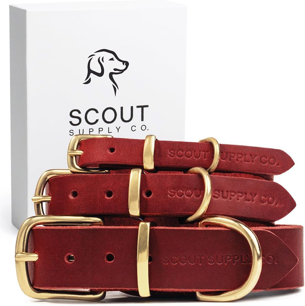 Classic Genuine Leather Dog Collar | Dog Collars for Medium Dogs, Small Dogs, Large Dogs & Extra Large Dog | Wide Dog Collar | Heavy Duty Dog Collar (Red, S: 0.5" Wide for 7.5"-10.5" Neck)