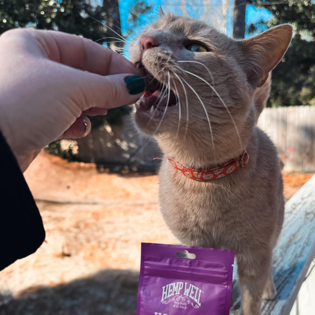 Hemp Well Cat Hairball Soft Chews for Cats (2 Pack), Organic USA Grown, Chicken Cheese & Catnip Flavor!