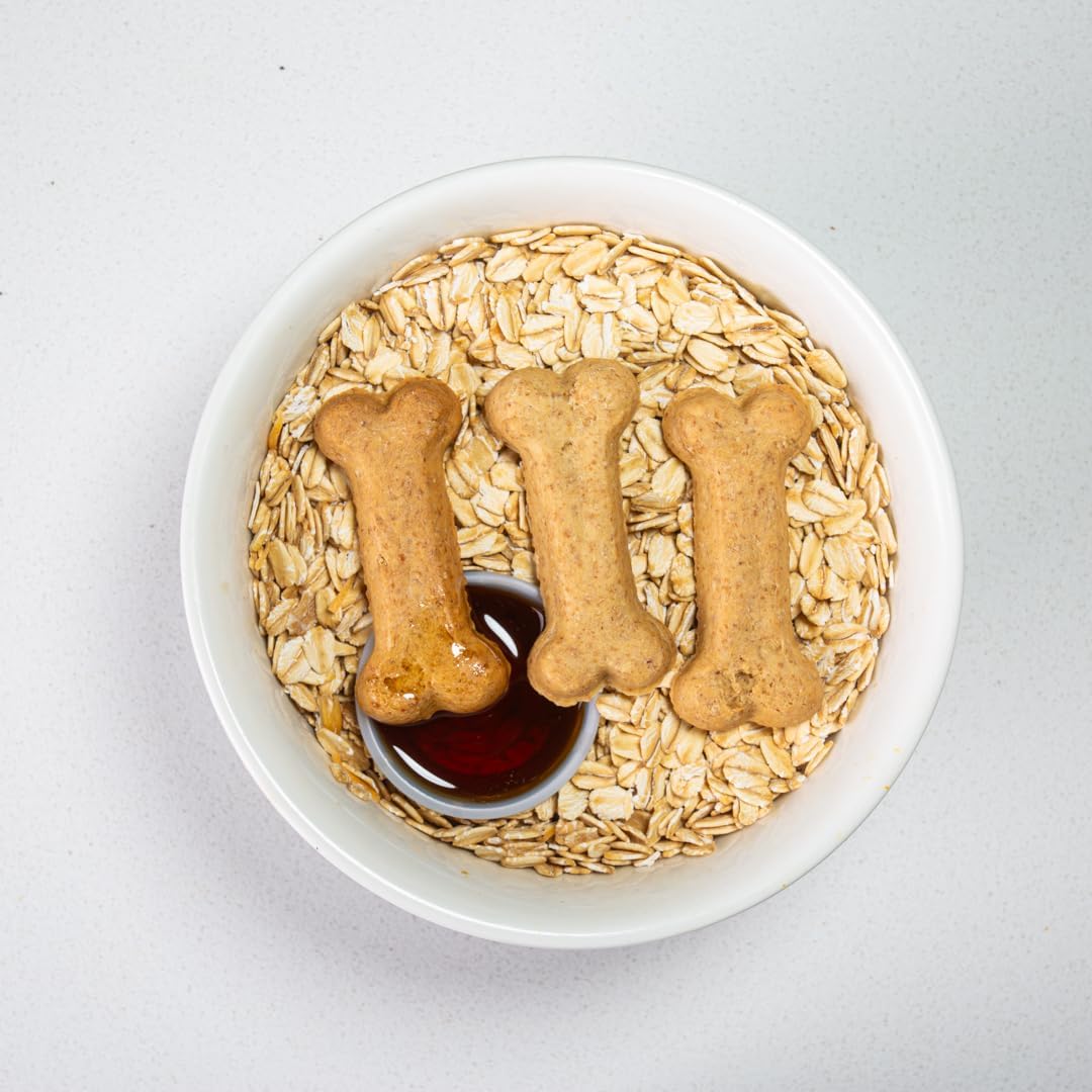 Activa 2lb Maple Gourmet Dog Biscuits | Crunchy Dog Treats