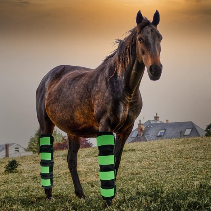 WORLD-BIO Horse Ice Boots Set of 2 /Horse Ice Pack for Injuries, Therapy Full Leg Ice Boot Cold Pack with Flexible Straps for Hock, Ankle, Knee, Legs and Hooves, 16.9'' x 16.1'' Green