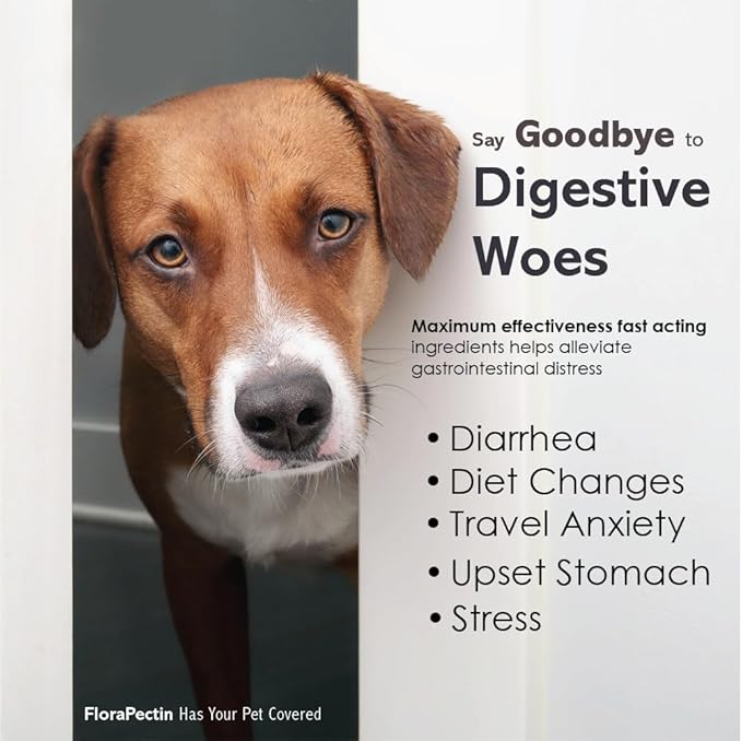 Oral Paste for Dogs & Cats-Helps Reduce Occasional Loose Stool & Diarrhea, Balance Gut pH, Support Normal Digestion & Intestinal Flora-Fast Acting (15 CC - Tasty Chicken Flavor)