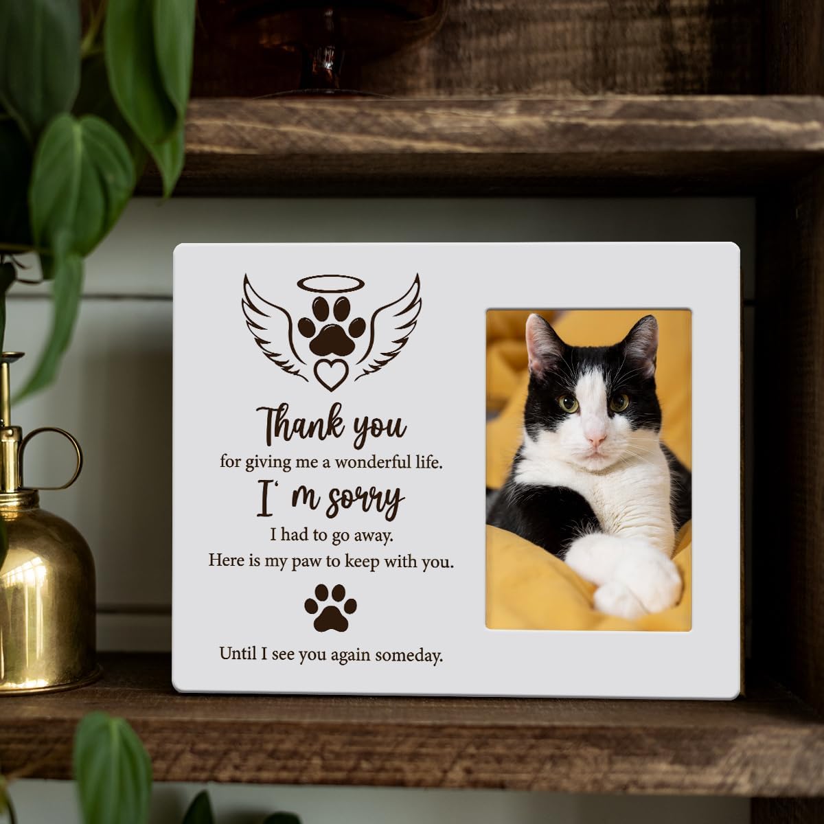 IAXIC Pet Cat Memorial Gifts for Loss of Cat Sympathy Gift Memorial Picture Frame, Pet Memory Picture Frame, Cat Frames For Pictures Memorial