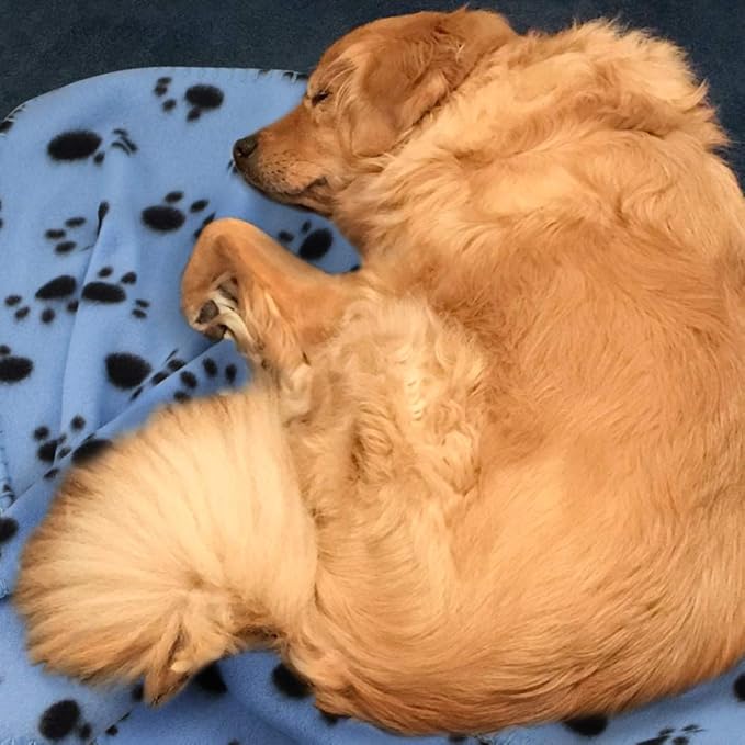 Comsmart Dog Blankets for Small Dogs, 6 Pack Puppy Blanket Cute Paw Print Pet Blanket for Dog, Puppy, Cat, Kitten, 39x35 inches, Blue