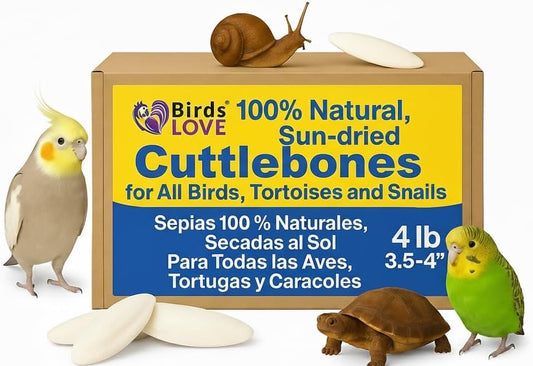 Birds LOVE Natural Cuttlebone – Premium Calcium for Cockatiel, Parrots, Tortoise, Snails, Crabs and Chinchillas - Pure Cuttlebone for Birds - Parakeet Food and Bird Treats - 4lb, Size 3.5 to 4"