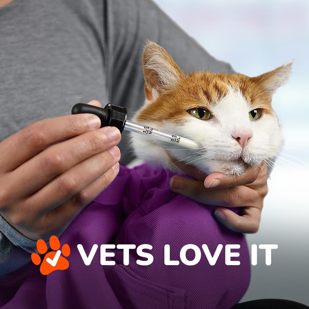 Cat-in-the-Bag Cozy Comfort Carrier - Large Lavender Pet Carrier and Cat Carrier Soft for Grooming, Vet Visits, Medication Administration, Dental Care, and Nail Trimming