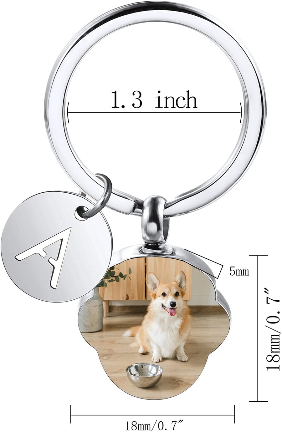 Personalized Cremation Urn Keychain for Pet Human Ashes Custom Photo/Name/Date Dog Cat Paw Print Pendant Stainless Steel Keyring Memorial Keepsake Keychain for Women Men (Style B1)