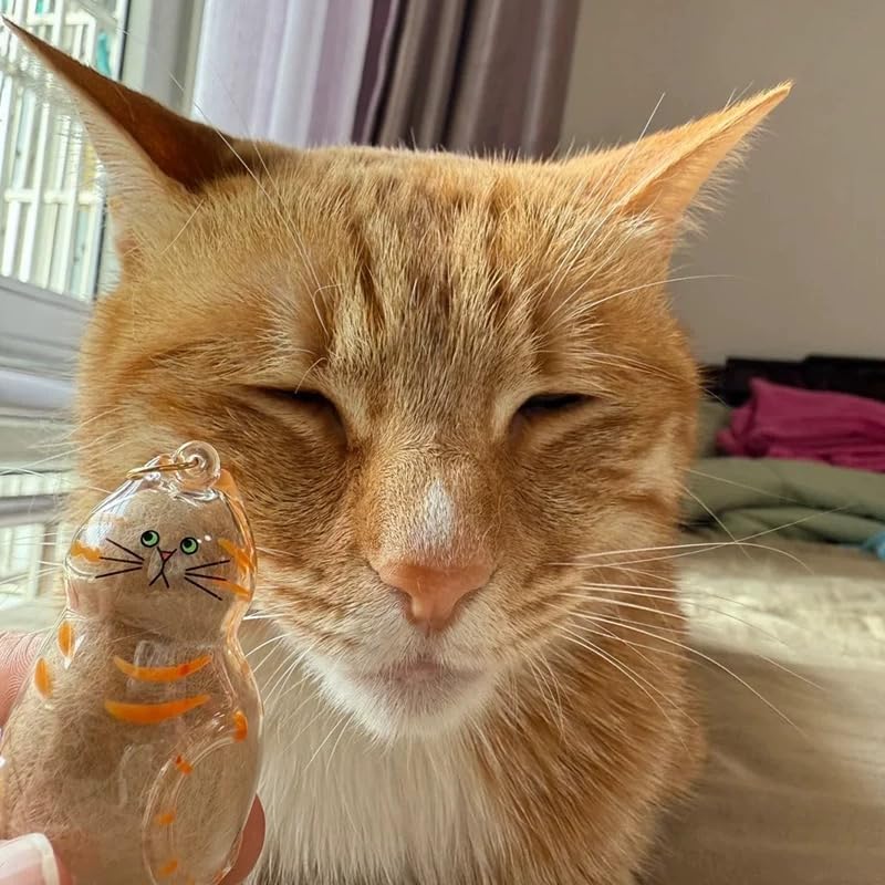 6 Pack Cat Hair Storage Keychain - Transparent Cat Fur Keepsake Capsule Pendant Keychain, Pet Hair Storage Bottle Container, Pet Lover Collecting Gift