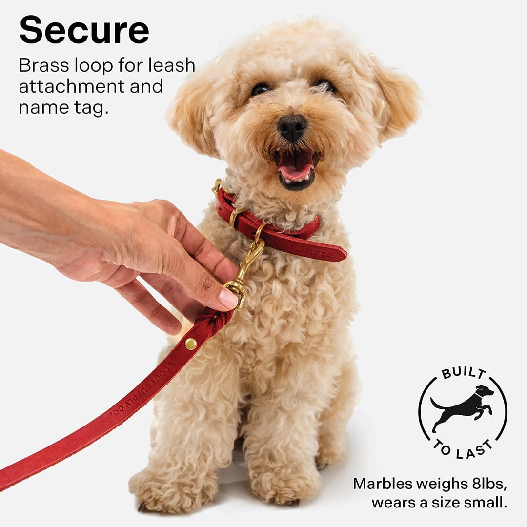 Classic Genuine Leather Dog Collar | Dog Collars for Medium Dogs, Small Dogs, Large Dogs & Extra Large Dog | Wide Dog Collar | Heavy Duty Dog Collar (Red, S: 0.5" Wide for 7.5"-10.5" Neck)