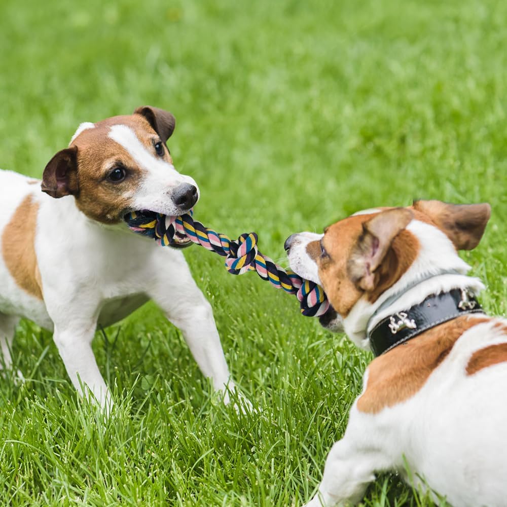 Dog Toys for Aggressive Chewers Large Medium Breed, Indestructible Dog Toothbrush Chew Toys, Squeaky Interactive Tough Extremely Durable, Dogs Toys to Keep Them Busy