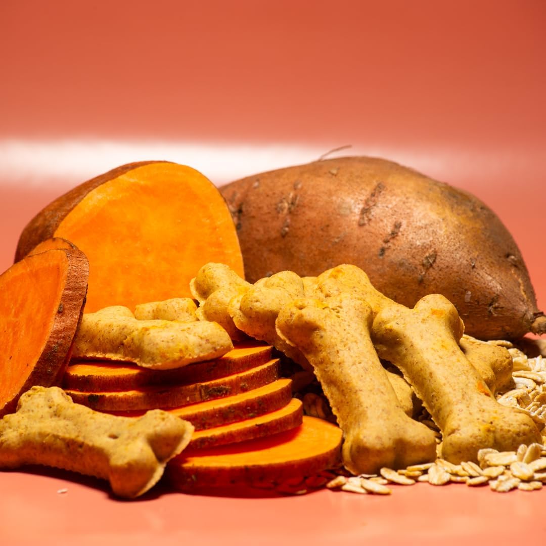 Activa 2lb Sweet Potato Gourmet Dog Biscuits | Crunchy Dog Treats | (Medium, Sweet Potato)