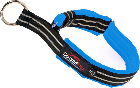 ComfortFlex Martingale Dog Collar - 1" Wide, Reflective, Adjustable, Fully Padded Nylon, Gentle Control, Escape-Proof, Limited Slip Design, Made in The USA, Small, Blue Jay