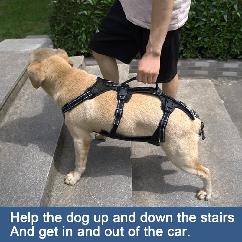 Coodeo Dog Lift Harness, Support & Recovery Sling, Pet Rehabilitation Lifts Vest Adjustable Breathable Straps for Old, Disabled, Joint Injuries, Arthritis, Paralysis Dogs Walk (Black,XL)