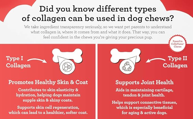 DreamBone CollaYUMS Twists Plus Collagen Chews for Dogs, 20 Count, Treat Your Dog to Rawhide-Free Chews Made with Chicken, Vegetables and Peanut Butter